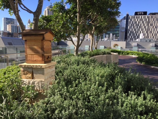 UTS Library beehive on the level 8 terrace