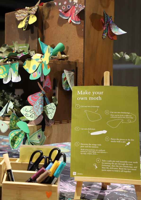 A wooden shelf sits on a colourful table covered with decorated paper moths. In front of the shelf is a sign with 'make your moth' instructions