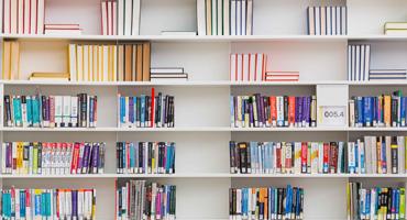 Library Catalogue Changes