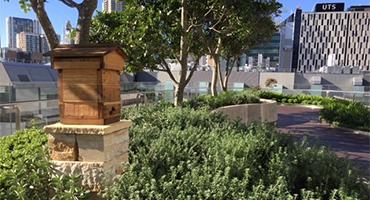 UTS Library beehive on the level 8 terrace