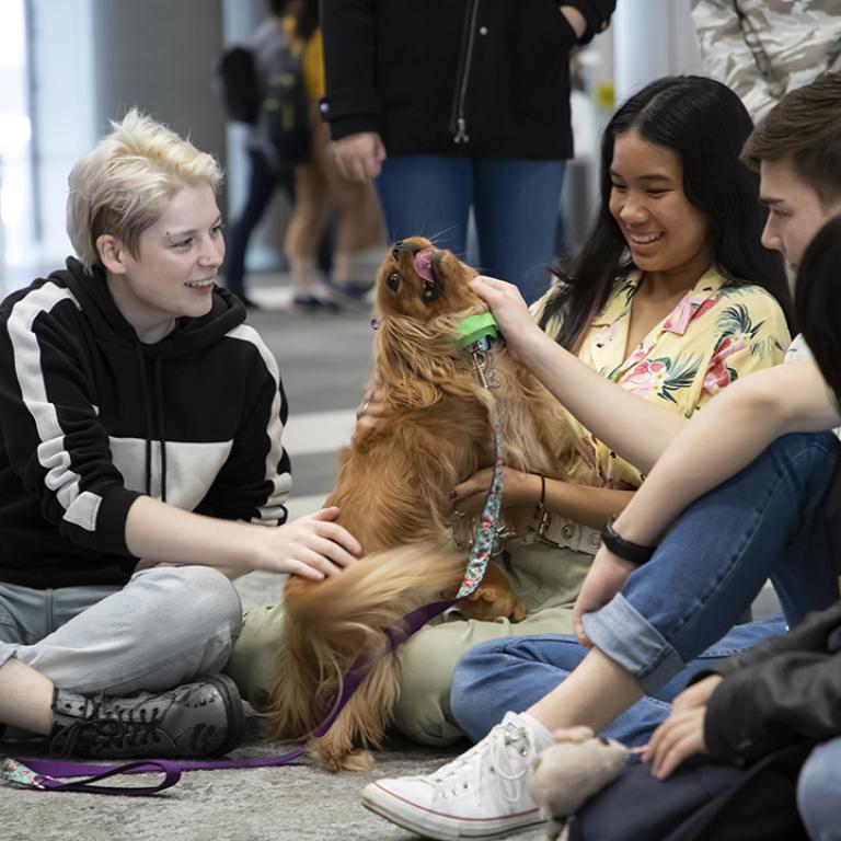 Smiling students sitting on ground and petting happy dog