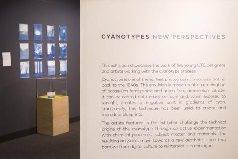 Cyanotypes: New Perspectives exhibition