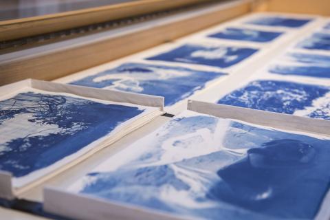 Cyanotypes: New Perspectives exhibition