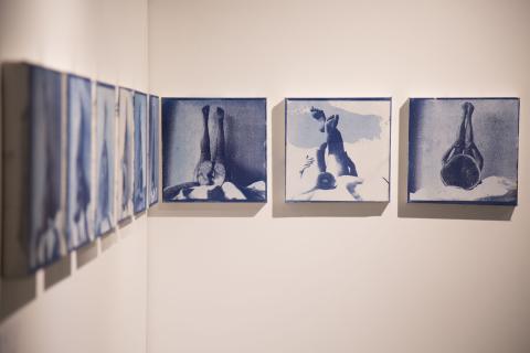 Cyanotypes: New Perspectives exhibition