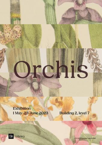 Orchis poster - colourful segmented drawings of orchids