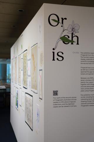 Corner view of the exhibition walls. The right wall has the Orchis title and exhibition description. The left wall has artworks hung on it and is out of focus and in perspective.