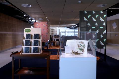 Vita's exhibition space