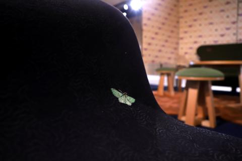 Vita's moth embroidered onto a couch