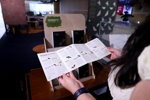 Student looking at Vita's exhibition
