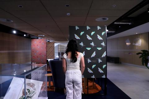Student looking at Vita's exhibition