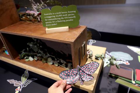 Paper moth-making at the Library